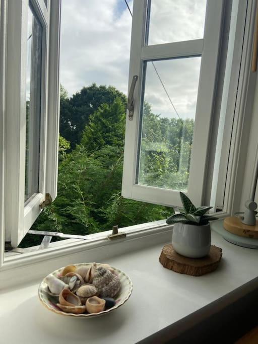 Stunning Views Of Ynyshir & Southern Snowdonia Machynlleth Esterno foto