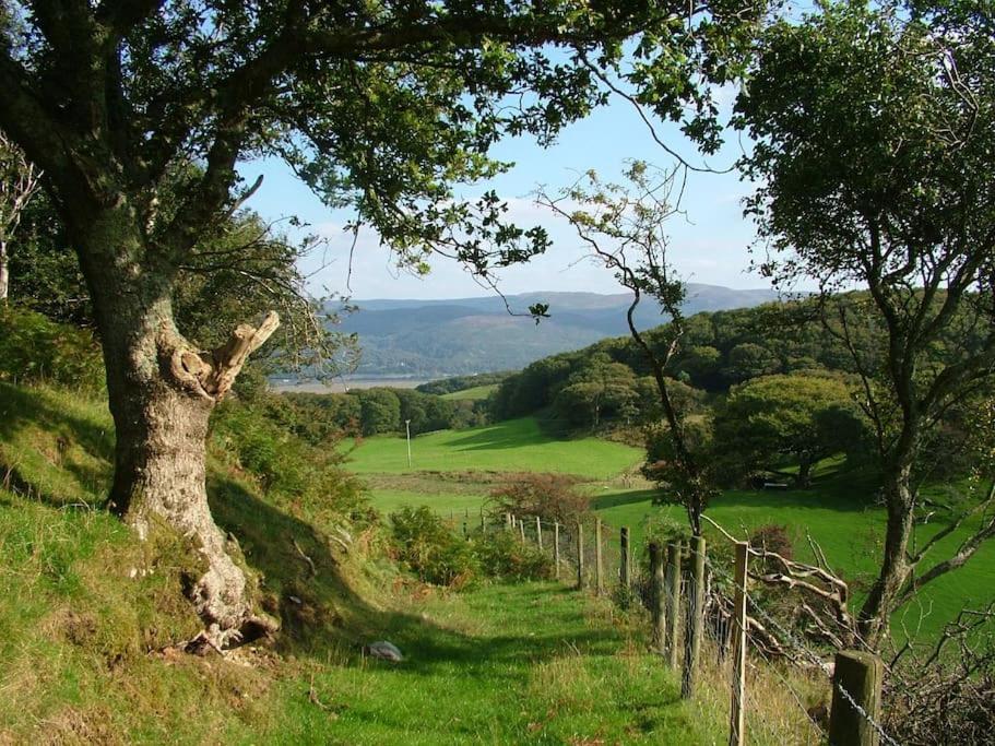 Stunning Views Of Ynyshir & Southern Snowdonia Machynlleth Esterno foto