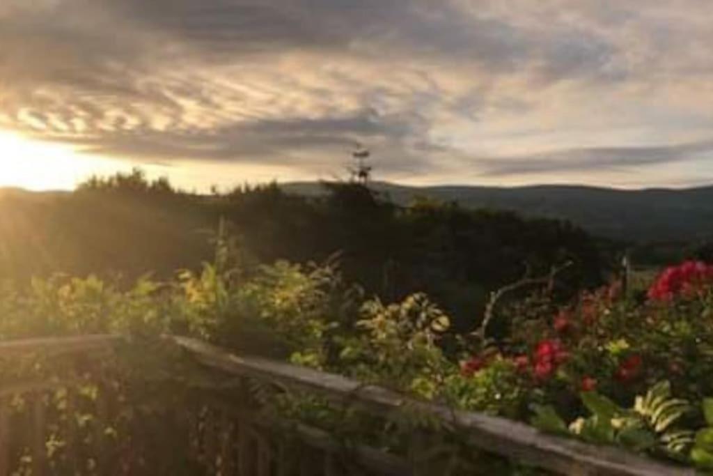 Stunning Views Of Ynyshir & Southern Snowdonia Machynlleth Esterno foto