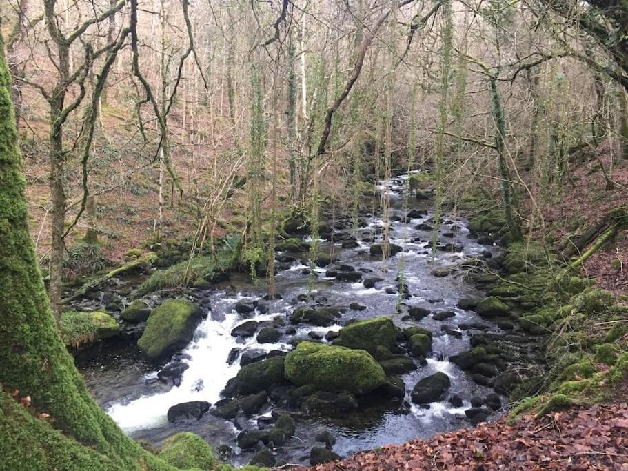 Stunning Views Of Ynyshir & Southern Snowdonia Machynlleth Esterno foto